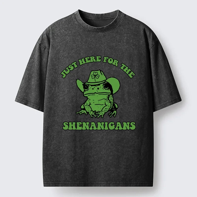 Cardydony Here For The Shenanigans Washed T-shirt