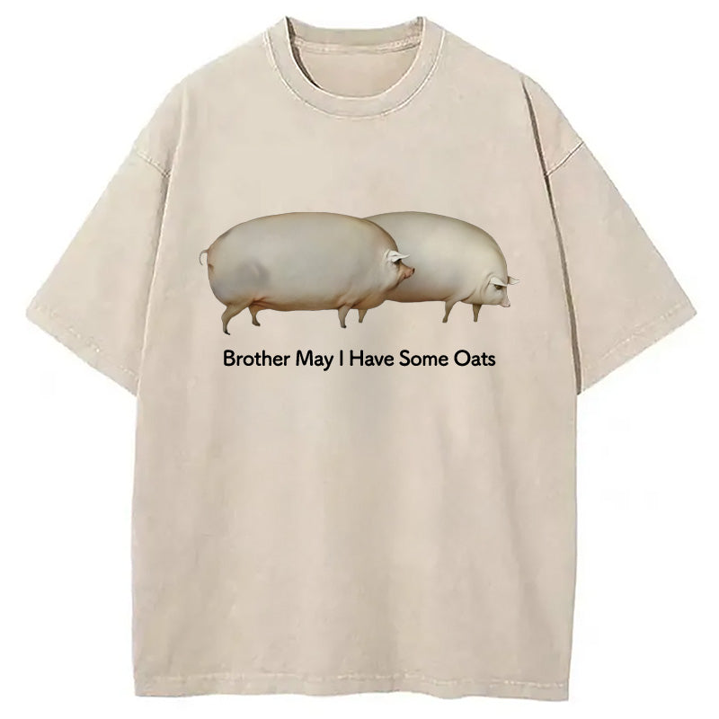 Cardydony Brother May L Have Some Oats Meme Washed T-shirt